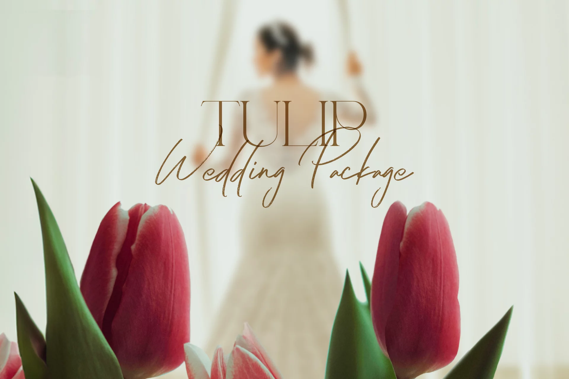 Tulip Wedding Package